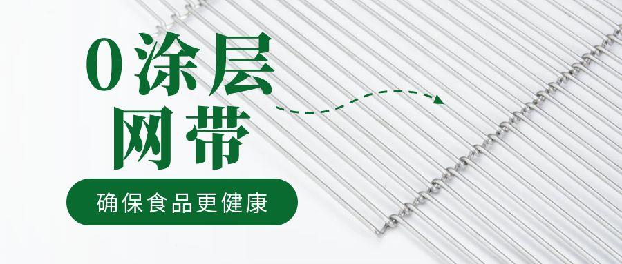 油炸機(jī)網(wǎng)帶“0 涂層”工藝，確保食品更健康
